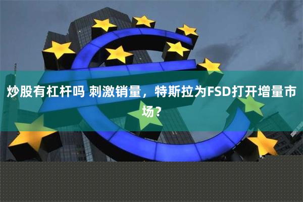炒股有杠杆吗 刺激销量，特斯拉为FSD打开增量市场？