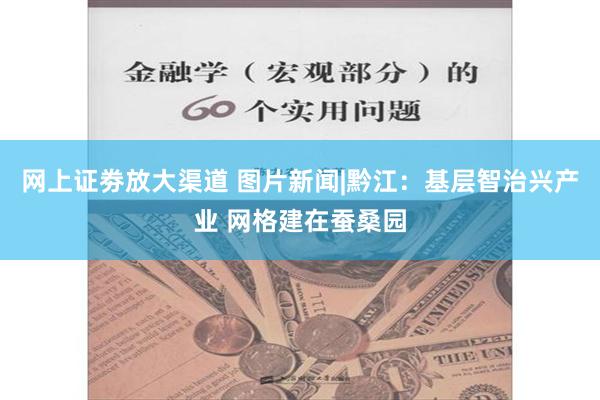 网上证劵放大渠道 图片新闻|黔江：基层智治兴产业 网格建在蚕桑园