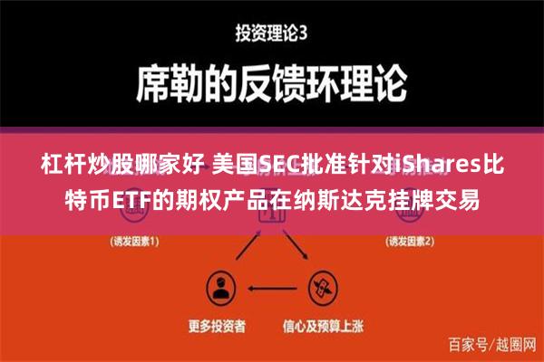 杠杆炒股哪家好 美国SEC批准针对iShares比特币ETF的期权产品在纳斯达克挂牌交易