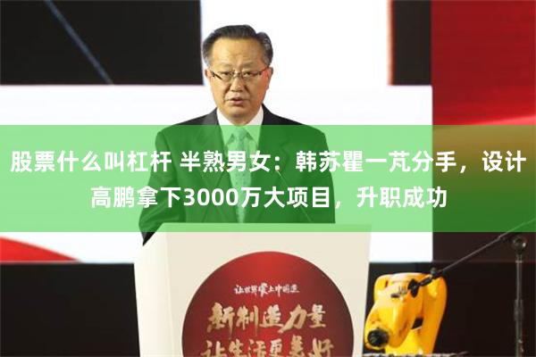 股票什么叫杠杆 半熟男女：韩苏瞿一芃分手，设计高鹏拿下3000万大项目，升职成功