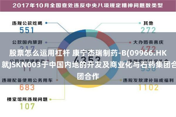 股票怎么运用杠杆 康宁杰瑞制药-B(09966.HK)：就JSKN003于中国内地的开发及商业化与石药集团合作