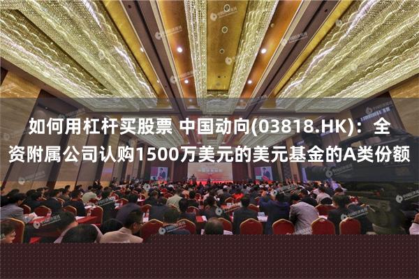如何用杠杆买股票 中国动向(03818.HK)：全资附属公司认购1500万美元的美元基金的A类份额