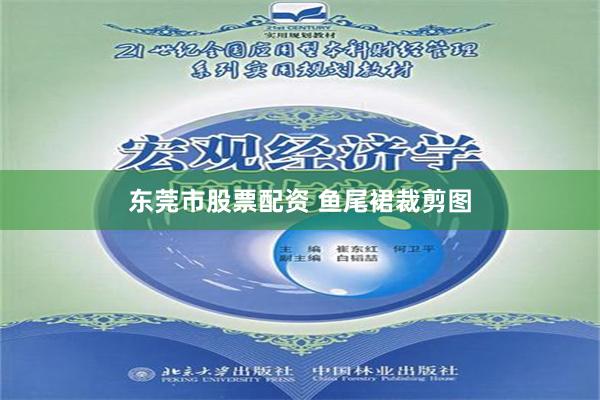 东莞市股票配资 鱼尾裙裁剪图