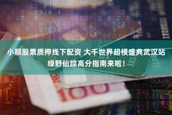 小额股票质押线下配资 大千世界超模盛典武汉站绿野仙踪高分指南来啦！