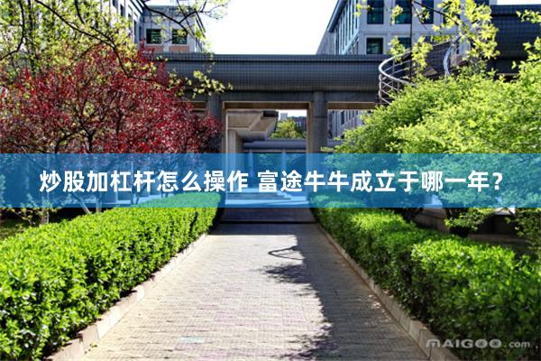 炒股加杠杆怎么操作 富途牛牛成立于哪一年？