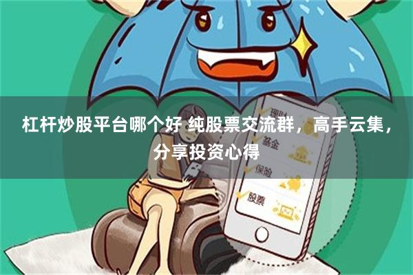 杠杆炒股平台哪个好 纯股票交流群，高手云集，分享投资心得