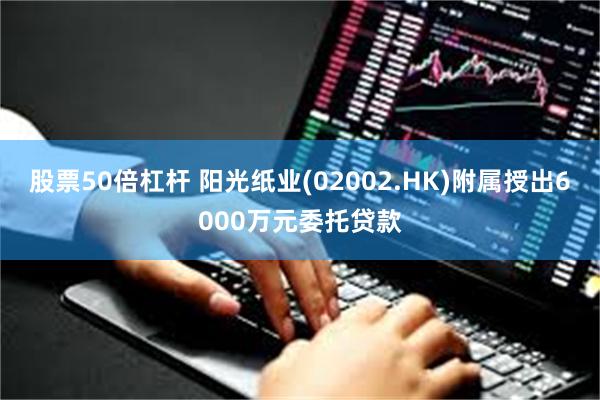 股票50倍杠杆 阳光纸业(02002.HK)附属授出6000万元委托贷款