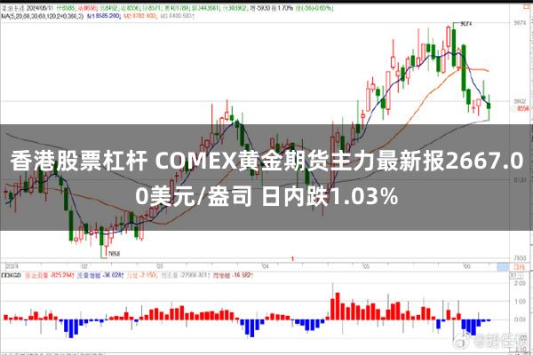 香港股票杠杆 COMEX黄金期货主力最新报2667.00美元/盎司 日内跌1.03%