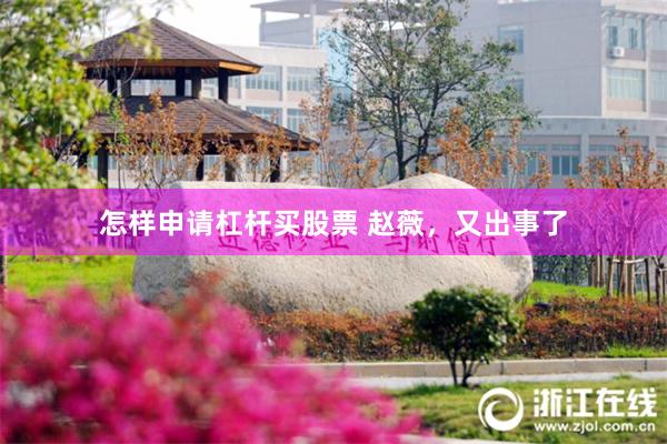 怎样申请杠杆买股票 赵薇，又出事了