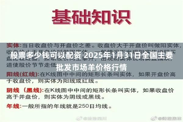 股票多少钱可以配资 2025年1月31日全国主要批发市场羊价格行情