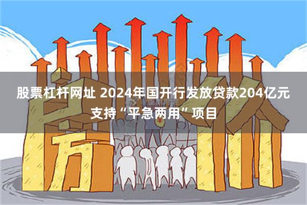 股票杠杆网址 2024年国开行发放贷款204亿元支持“平急两用”项目
