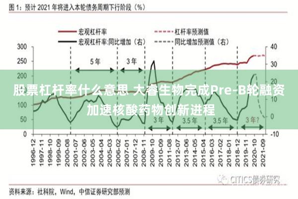 股票杠杆率什么意思 大睿生物完成Pre-B轮融资 加速核酸药物创新进程