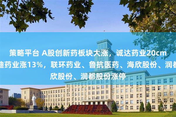 策略平台 A股创新药板块大涨，诚达药业20cm涨停，艾迪药业涨13%，联环药业、鲁抗医药、海欣股份、润都股份涨停