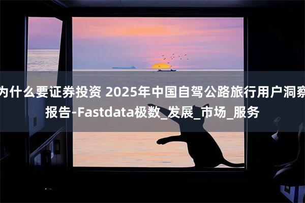 为什么要证券投资 2025年中国自驾公路旅行用户洞察报告-Fastdata极数_发展_市场_服务