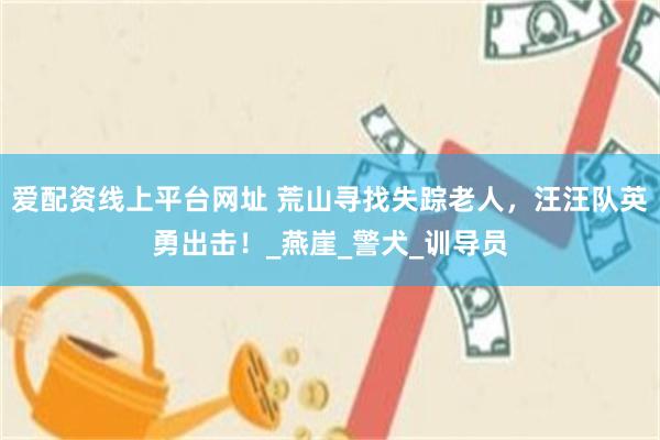 爱配资线上平台网址 荒山寻找失踪老人，汪汪队英勇出击！_燕崖_警犬_训导员