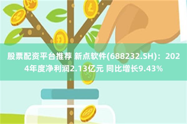 股票配资平台推荐 新点软件(688232.SH)：2024年度净利润2.13亿元 同比增长9.43%