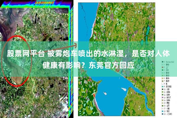 股票网平台 被雾炮车喷出的水淋湿，是否对人体健康有影响？东莞官方回应