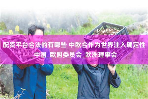配资平台合法的有哪些 中欧合作为世界注入确定性_中国_欧盟委员会_欧洲理事会