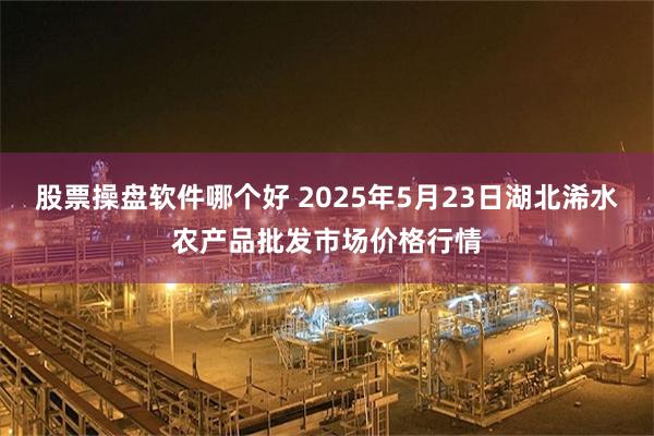 股票操盘软件哪个好 2025年5月23日湖北浠水农产品批发市场价格行情