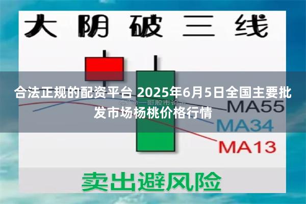 合法正规的配资平台 2025年6月5日全国主要批发市场杨桃价格行情
