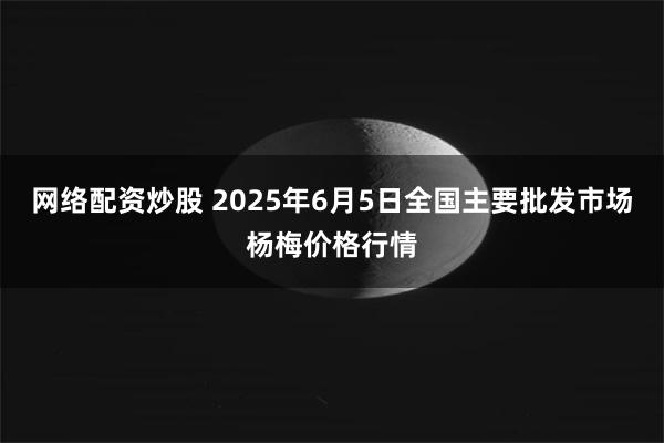 网络配资炒股 2025年6月5日全国主要批发市场杨梅价格行情
