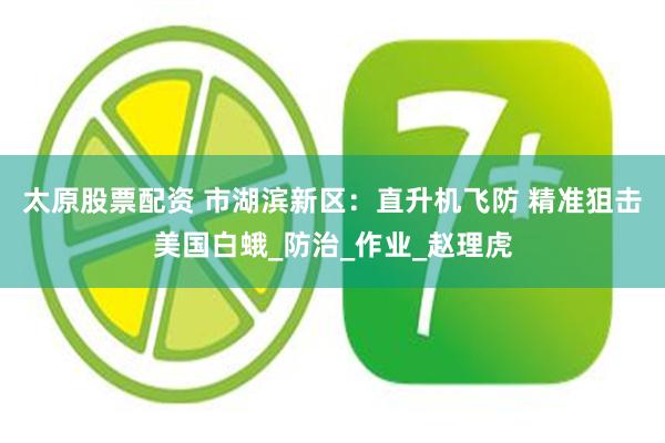太原股票配资 市湖滨新区：直升机飞防 精准狙击美国白蛾_防治_作业_赵理虎