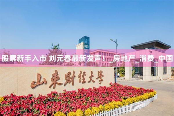 股票新手入市 刘元春最新发声！_房地产_消费_中国