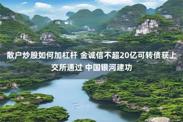 散户炒股如何加杠杆 金诚信不超20亿可转债获上交所通过 中国银河建功