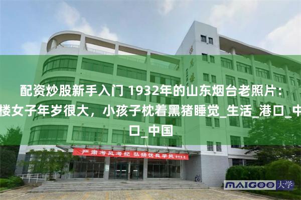 配资炒股新手入门 1932年的山东烟台老照片：青楼女子年岁很大，小孩子枕着黑猪睡觉_生活_港口_中国
