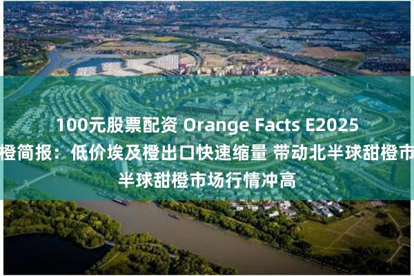 100元股票配资 Orange Facts E202506 | 全球甜橙简报：低价埃及橙出口快速缩量 带动北半球甜橙市场行情冲高