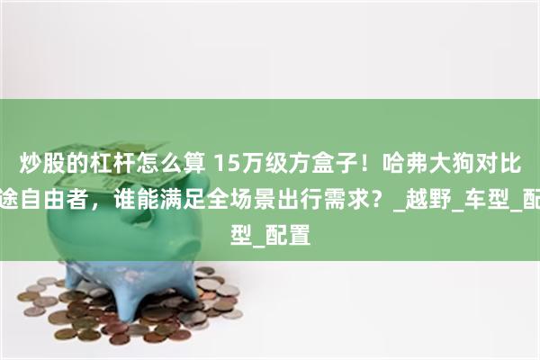 炒股的杠杆怎么算 15万级方盒子！哈弗大狗对比捷途自由者，谁能满足全场景出行需求？_越野_车型_配置