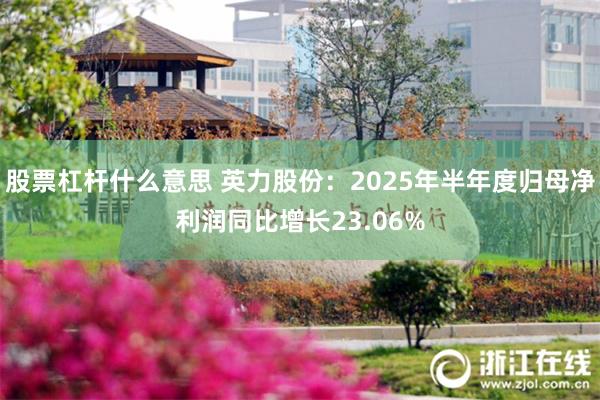 股票杠杆什么意思 英力股份：2025年半年度归母净利润同比增长23.06%