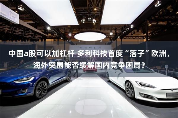 中国a股可以加杠杆 多利科技首度“落子”欧洲，海外突围能否缓解国内竞争困局？