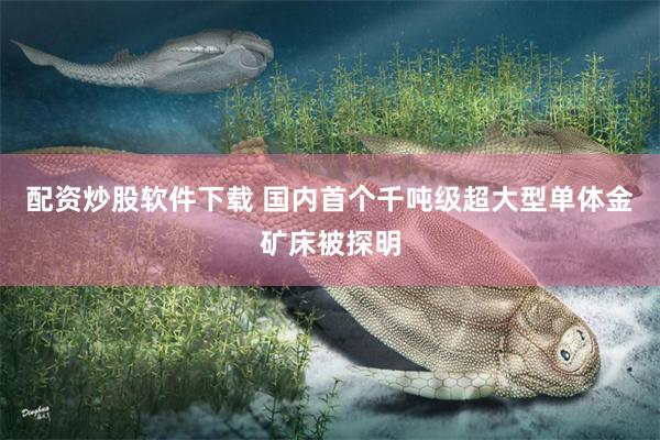 配资炒股软件下载 国内首个千吨级超大型单体金矿床被探明